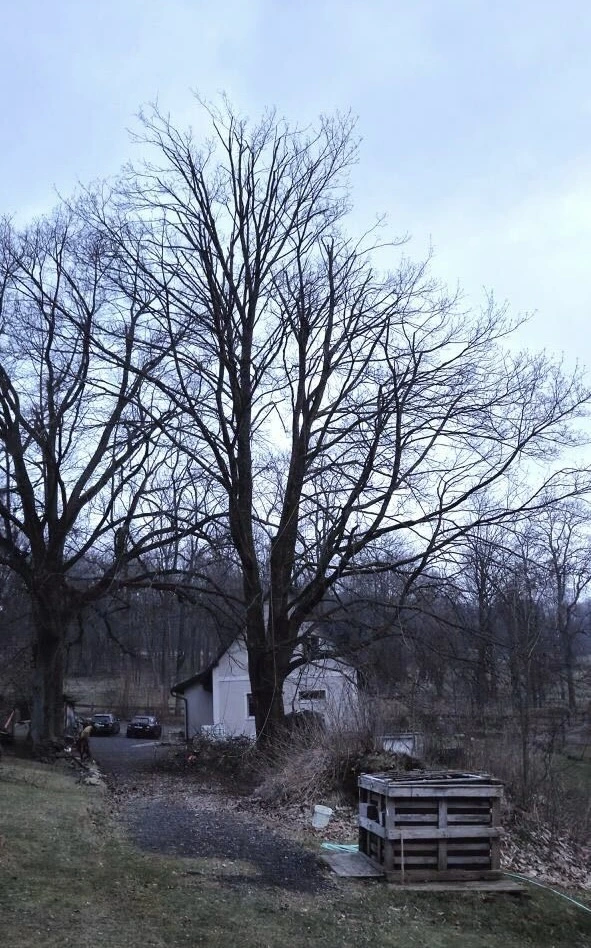 Photograph 2